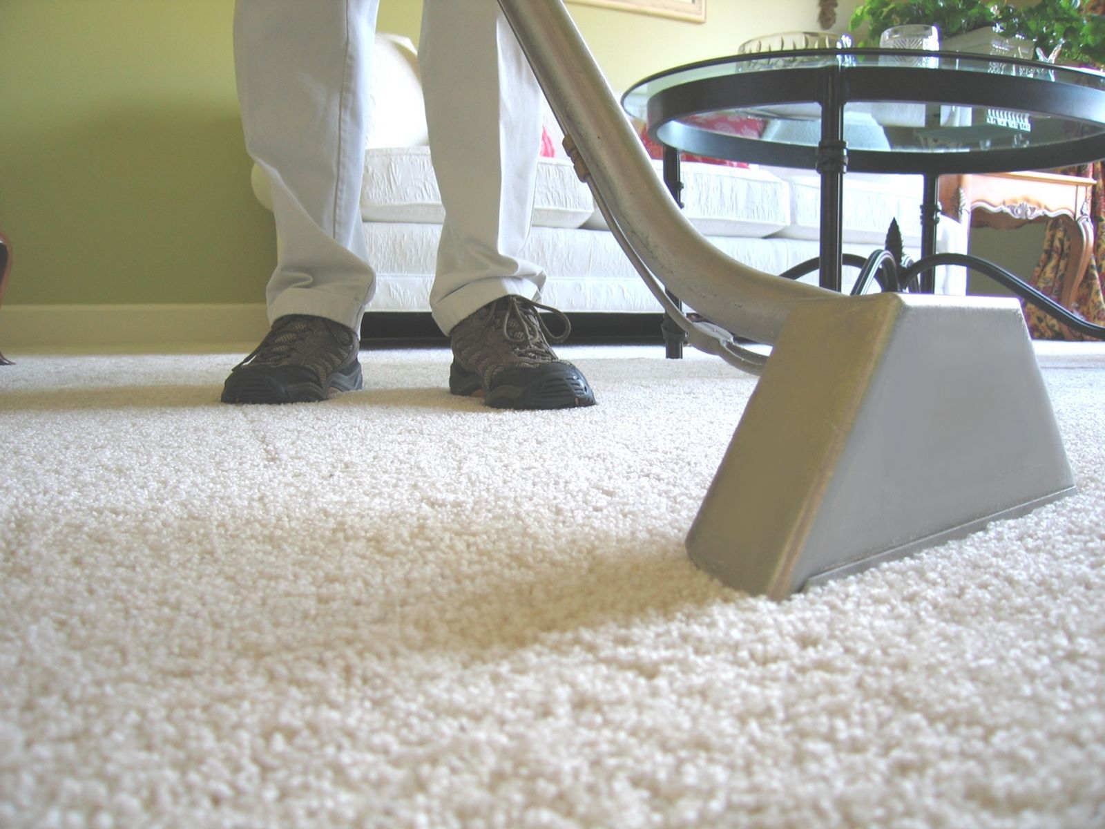 Affordable Carpet Cleaning Services in Lincoln Park Chicago
