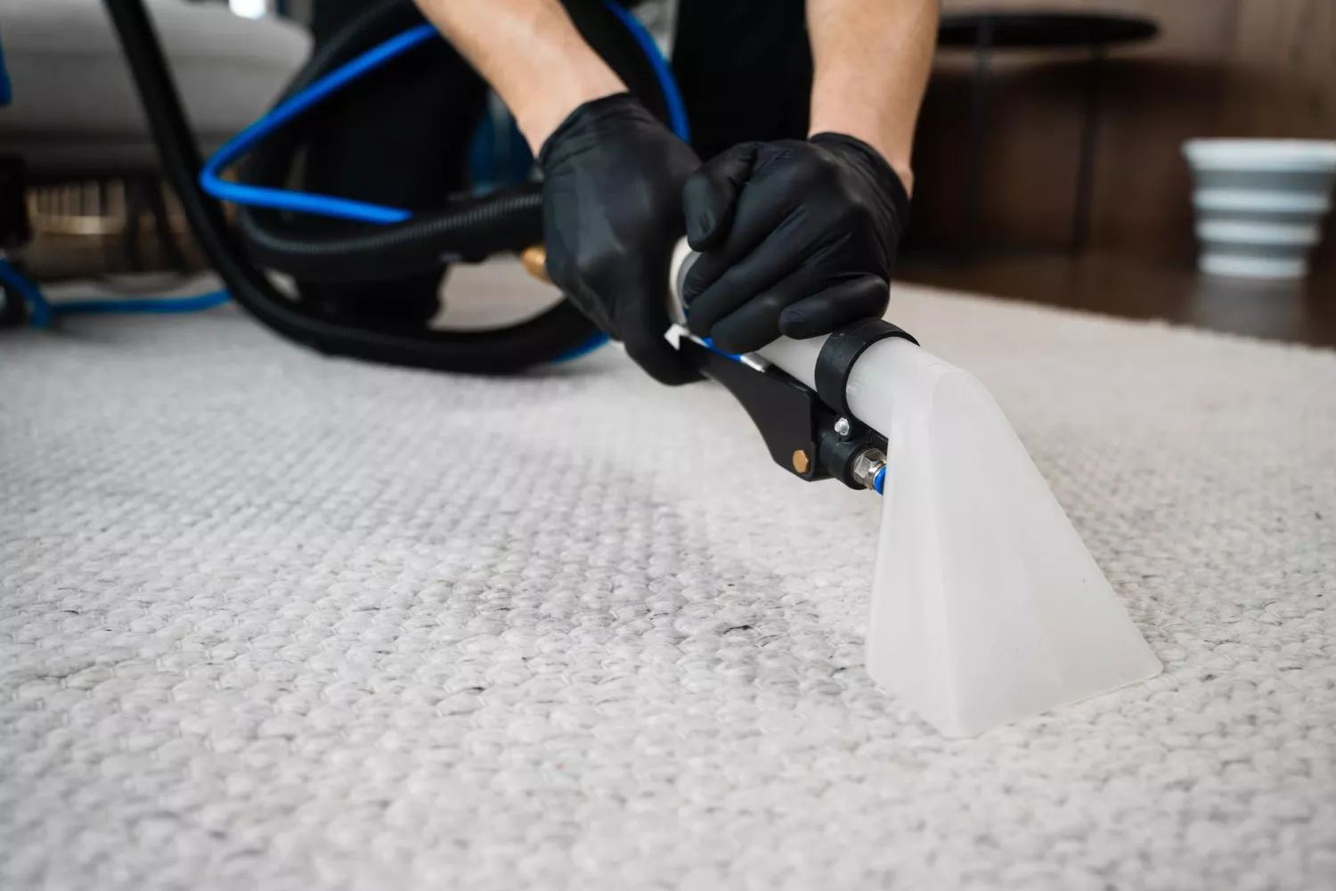 Commercial Rug Cleaning Services in Chicago IL