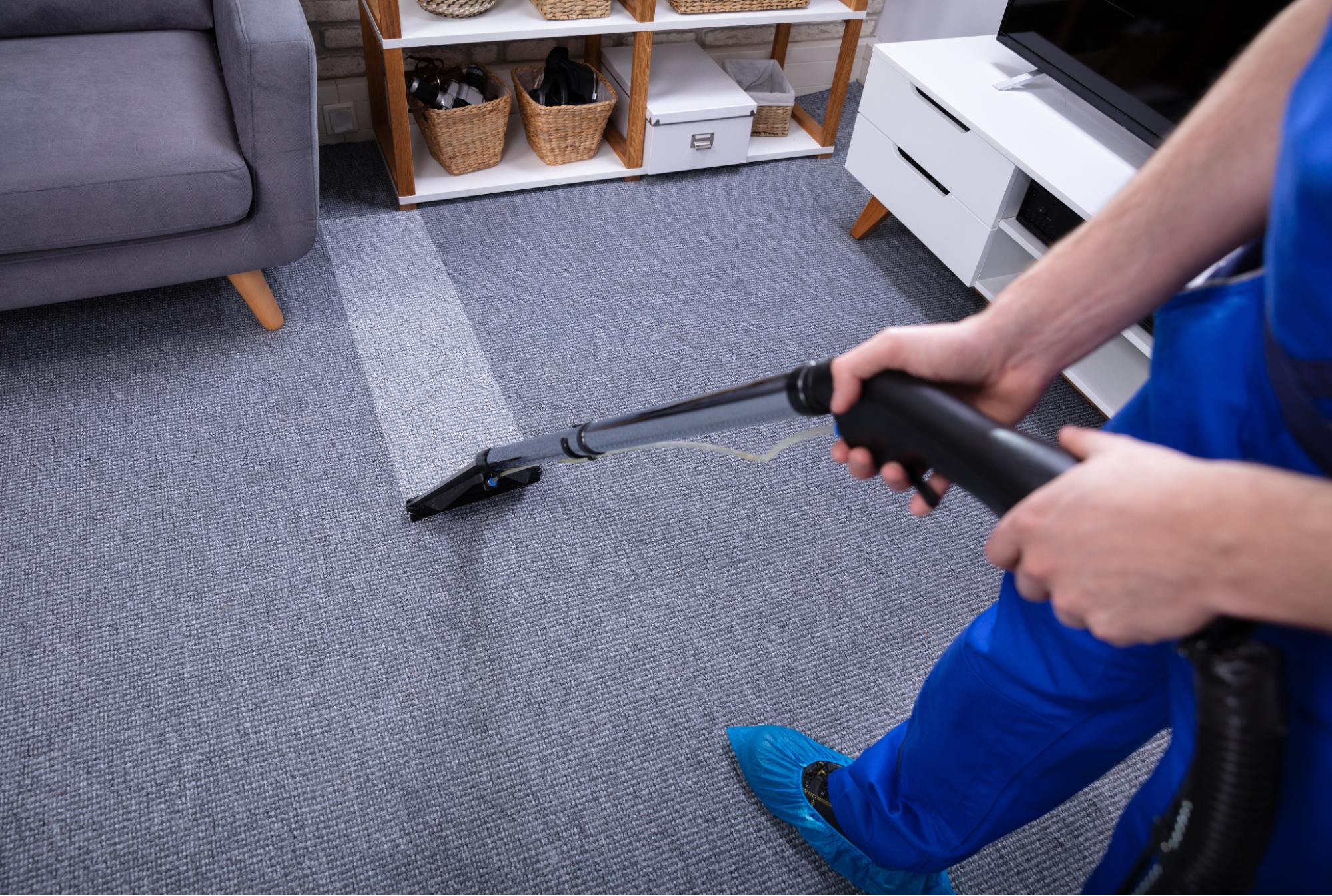 Expert Carpet Stain Removal Services in Lincoln Park Chicago