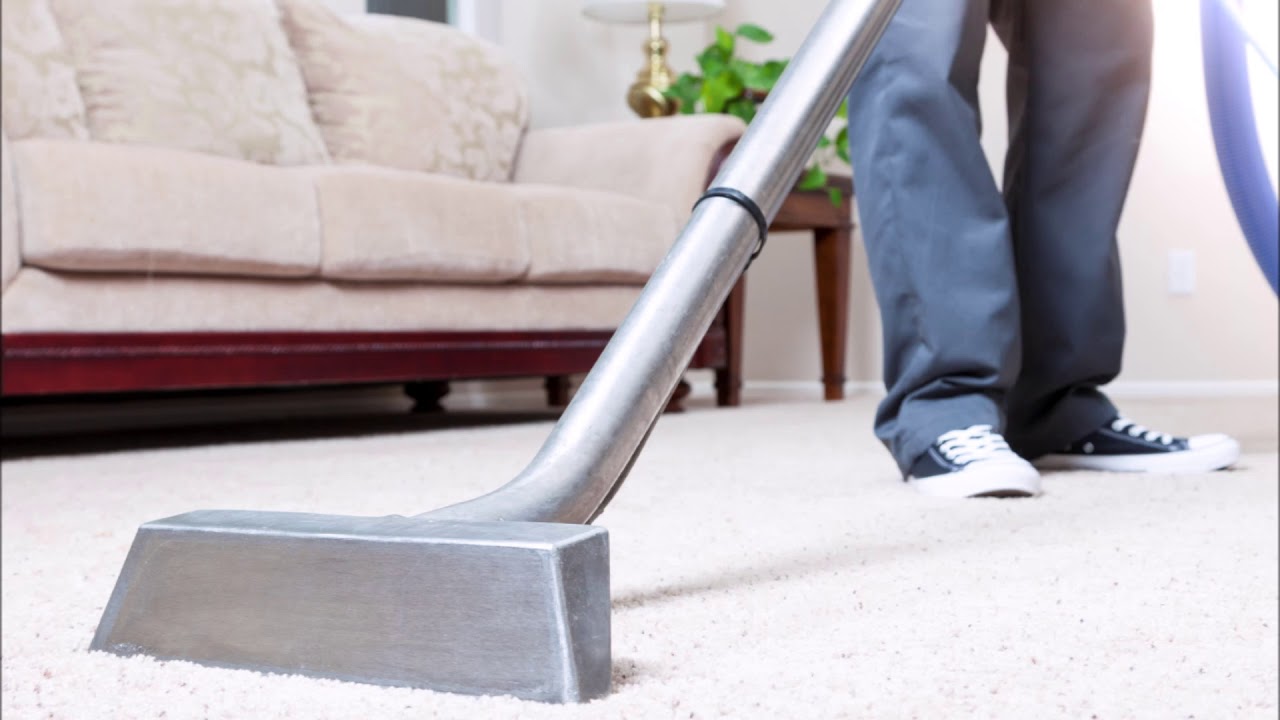 Pet Odor Carpet Cleaning Services in Lincoln Park Chicago