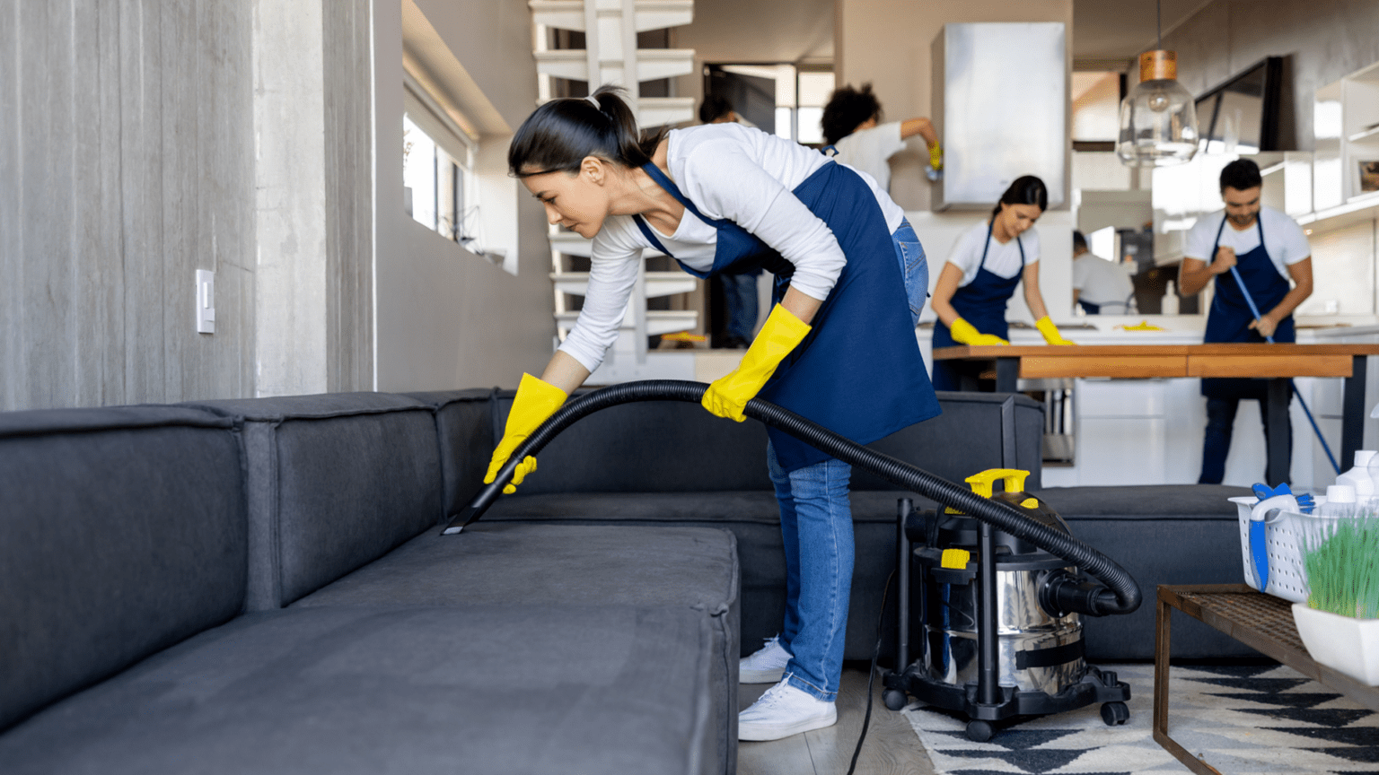 Pet Stain Upholstery Cleaning Services in Lincoln Park Chicago