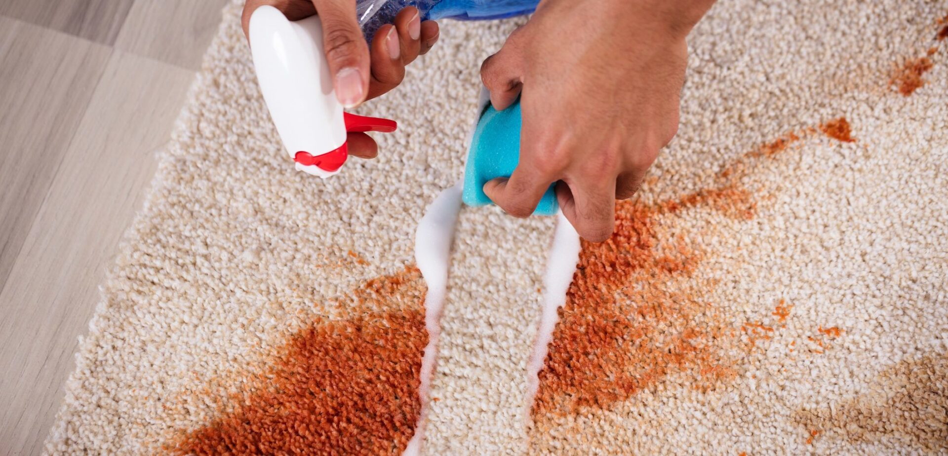 Rug Stain Removal Services in Chicago IL