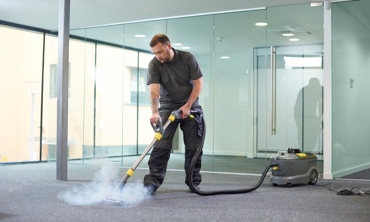 Steam Carpet Cleaning Services in Lincoln Park Chicago