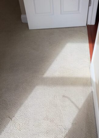 After carpet cleaning in Evanston, IL