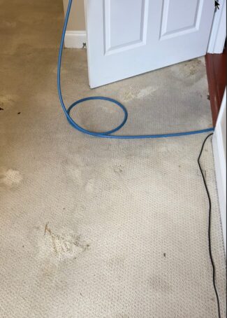 Before carpet cleaning in Evanston, IL